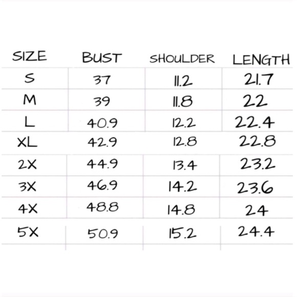 NWT Ruffle Sleeve Blouse Tee Spring Top - Picture 3 of 3